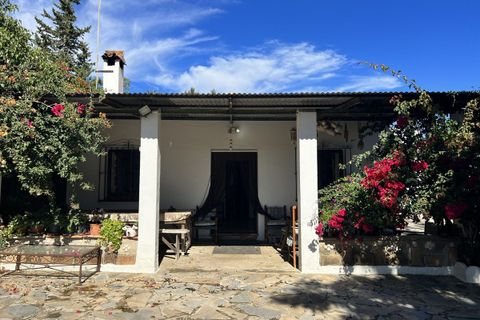 Finca i Estepona, Malaga, Estepona - € 525.000 | Ref: SPP4453384-FO - foto 7