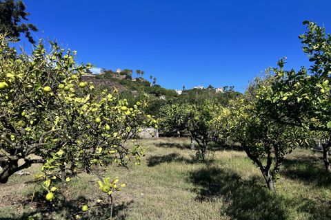 Finca i Estepona, Malaga, Estepona - € 525.000 | Ref: SPP4453384-FO - foto 9