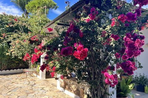 Finca i Estepona, Malaga, Estepona - € 525.000 | Ref: SPP4453384-FO - foto 11