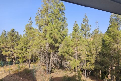 Byhus i El Chaparral, Malaga, El Chaparral - € 695.000 | Ref: SPP4794292-FO - foto 11
