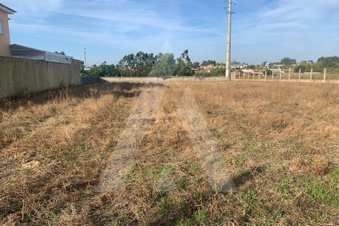 Helårsgrund i Aveiro, Aveiro, Aveiro - € 300.000 | Ref: 1012287/25 GL - foto 5