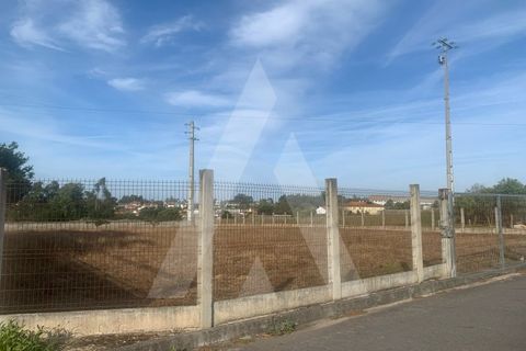 Helårsgrund i Aveiro, Aveiro, Aveiro - € 300.000 | Ref: 1012287/25 GL - foto 6