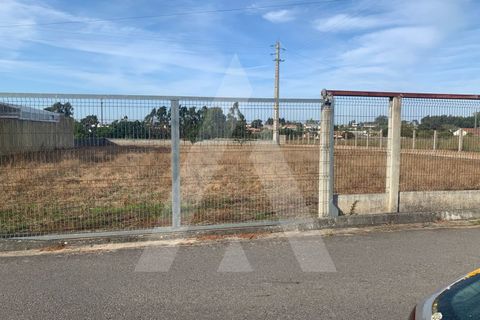 Helårsgrund i Aveiro, Aveiro, Aveiro - € 300.000 | Ref: 1012287/25 GL - foto 8