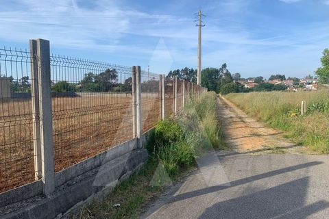 Helårsgrund i Aveiro, Aveiro, Aveiro - € 300.000 | Ref: 1012287/25 GL - foto 10