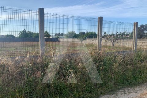 Helårsgrund i Aveiro, Aveiro, Aveiro - € 300.000 | Ref: 1012287/25 GL - foto 13