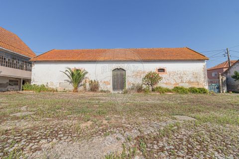 Farm i Vila Cha de Ourique, Santarem, Vila Cha de Ourique - € 617.000 | Ref: PE-123751480-2 - foto 2