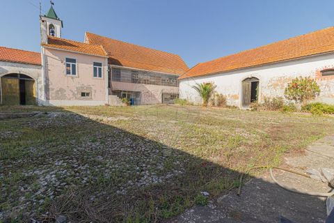 Farm i Vila Cha de Ourique, Santarem, Vila Cha de Ourique - € 617.000 | Ref: PE-123751480-2 - foto 3