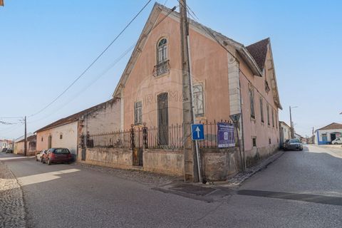Farm i Vila Cha de Ourique, Santarem, Vila Cha de Ourique - € 617.000 | Ref: PE-123751480-2 - foto 5