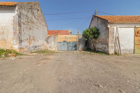 Farm i Vila Cha de Ourique, Santarem, Vila Cha de Ourique - € 617.000 | Ref: PE-123751480-2 - foto 7