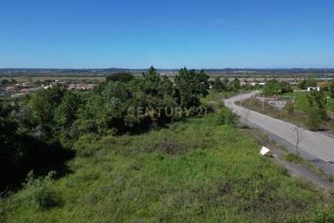 Helårsgrund i Coimbra, Coimbra, Coimbra - € 65.500 | Ref: C0372-01235 - foto 13