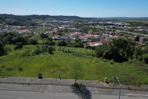 Helårsgrund i Coimbra, Coimbra, Coimbra - € 65.500 | Ref: C0372-01235 - foto 5
