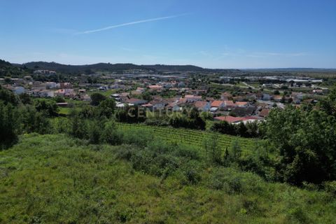 Helårsgrund i Coimbra, Coimbra, Coimbra - € 65.500 | Ref: C0372-01235 - foto 12