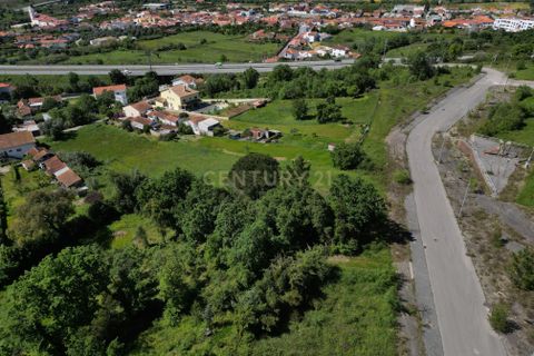 Helårsgrund i Coimbra, Coimbra, Coimbra - € 65.500 | Ref: C0372-01235 - foto 17
