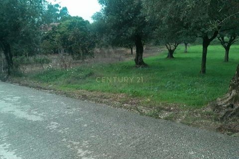 Helårsgrund i Antuzede e Vil de Matos, Coimbra, Antuzede e Vil de Matos - € 76.999 | Ref: C0372-01280 - foto 5