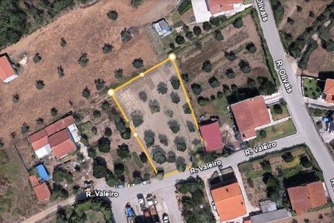 Helårsgrund i Antuzede e Vil de Matos, Coimbra, Antuzede e Vil de Matos - € 76.999 | Ref: C0372-01280 - foto 7