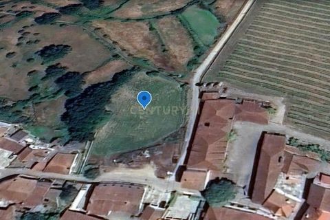 Terra a Azere e Covelo, Coimbra, Azere e Covelo - € 19.999 | Ref: C0372-01278 - foto 2