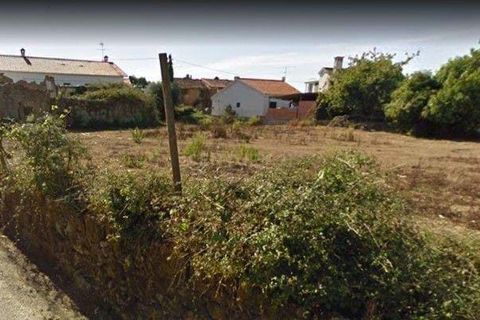 Terra a Azere e Covelo, Coimbra, Azere e Covelo - € 19.999 | Ref: C0372-01278 - foto 4
