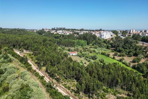 Helårsgrund i Buarcos, Coimbra, Buarcos - € 1.000.000 | Ref: C0372-01370 - foto 17