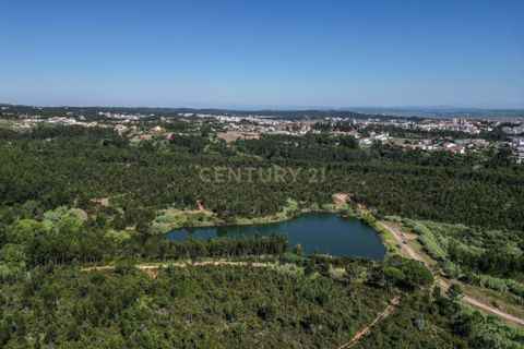Helårsgrund i Buarcos, Coimbra, Buarcos - € 1.000.000 | Ref: C0372-01370 - foto 27