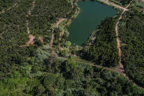 Helårsgrund i Buarcos, Coimbra, Buarcos - € 1.000.000 | Ref: C0372-01370 - foto 11
