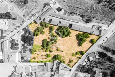 Helårsgrund i Alvito, Beja, Alvito - € 299.000 | Ref: 318/T/03587 - foto 1