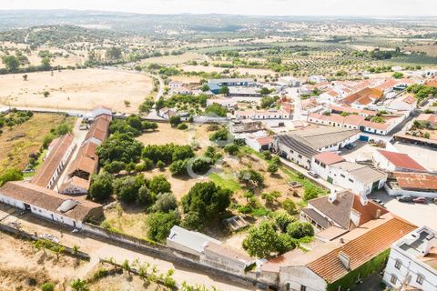 Helårsgrund i Alvito, Beja, Alvito - € 299.000 | Ref: 318/T/03587 - foto 10