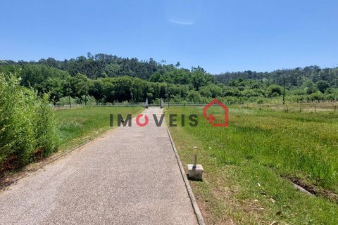 Farm hus i Ourem, Santarem, Ourem - € 425.000 | Ref: 00682 - foto 5