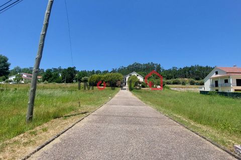 Farm hus i Ourem, Santarem, Ourem - € 425.000 | Ref: 00682 - foto 6