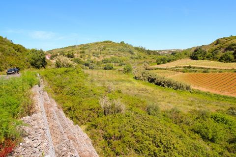 Terra a Bucelas, Lisbon, Bucelas - € 38.000 | Ref: I/1145 - foto 4
