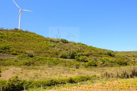 Terra a Bucelas, Lisbon, Bucelas - € 38.000 | Ref: I/1145 - foto 5