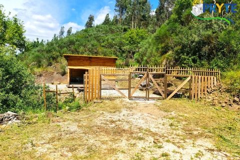 Helårsgrund i Castelo Branco, Castelo Branco, Castelo Branco - € 65.000 | Ref: AS154 - foto 2
