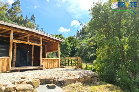 Helårsgrund i Castelo Branco, Castelo Branco, Castelo Branco - € 65.000 | Ref: AS154 - foto 4