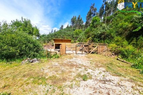 Helårsgrund i Castelo Branco, Castelo Branco, Castelo Branco - € 65.000 | Ref: AS154 - foto 6