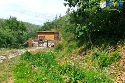 Helårsgrund i Castelo Branco, Castelo Branco, Castelo Branco - € 65.000 | Ref: AS154 - foto 7