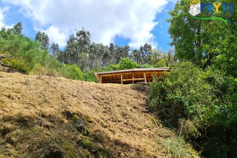 Helårsgrund i Castelo Branco, Castelo Branco, Castelo Branco - € 65.000 | Ref: AS154 - foto 17