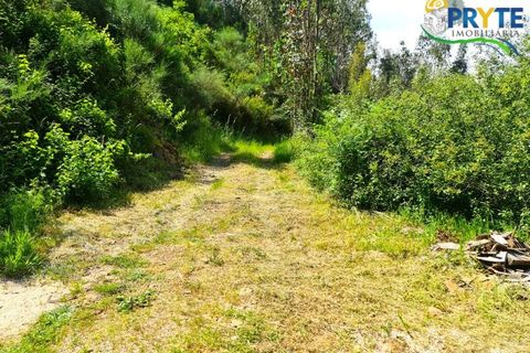 Helårsgrund i Castelo Branco, Castelo Branco, Castelo Branco - € 65.000 | Ref: AS154 - foto 19