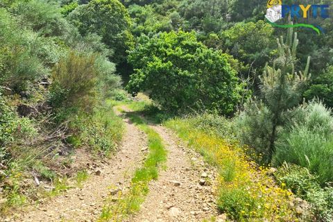 Helårsgrund i Castelo Branco, Castelo Branco, Castelo Branco - € 65.000 | Ref: AS154 - foto 23