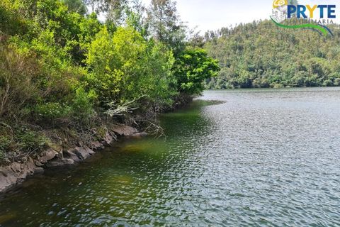Helårsgrund i Castelo Branco, Castelo Branco, Castelo Branco - € 65.000 | Ref: AS154 - foto 31
