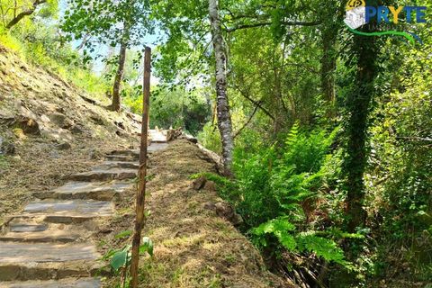 Helårsgrund i Castelo Branco, Castelo Branco, Castelo Branco - € 65.000 | Ref: AS154 - foto 33