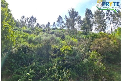 Helårsgrund i Castelo Branco, Castelo Branco, Castelo Branco - € 65.000 | Ref: AS154 - foto 44