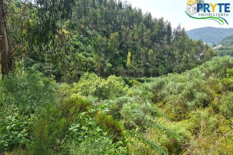 Helårsgrund i Castelo Branco, Castelo Branco, Castelo Branco - € 65.000 | Ref: AS154 - foto 46