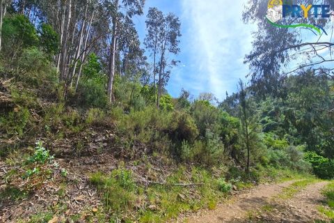 Helårsgrund i Castelo Branco, Castelo Branco, Castelo Branco - € 65.000 | Ref: AS154 - foto 48