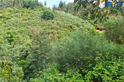 Helårsgrund i Castelo Branco, Castelo Branco, Castelo Branco - € 65.000 | Ref: AS154 - foto 50