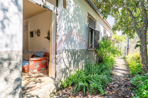 Villa i Covilha, Castelo Branco, Covilha - € 80.000 | Ref: HAB_254 - foto 4