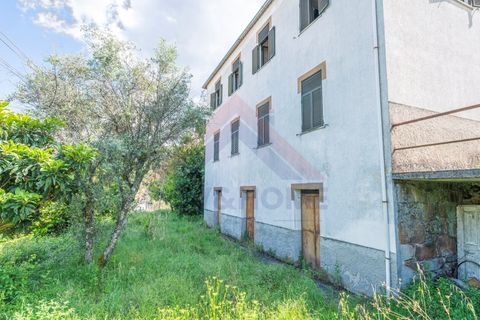 Villa i Covilha, Castelo Branco, Covilha - € 80.000 | Ref: HAB_254 - foto 21