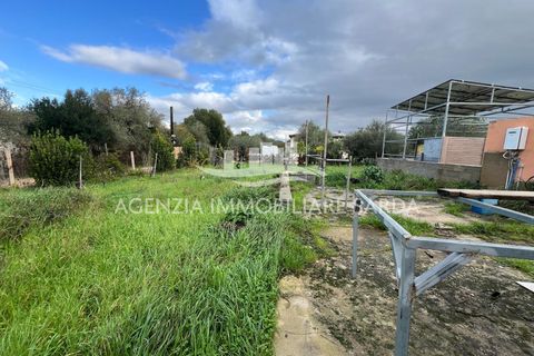 Villa a Alghero, Sassari, Alghero - € 349.000 | Ref: SAR578 - foto 15