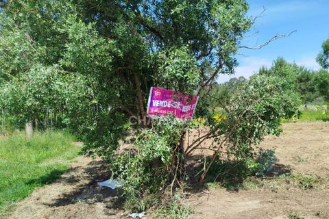 Helårsgrund i Vagos, Aveiro, Vagos - € 47.000 | Ref: AVR/00685 - foto 2
