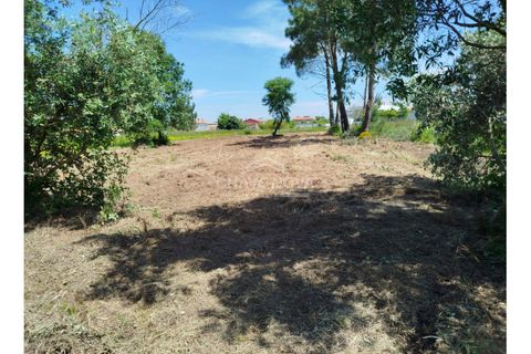 Helårsgrund i Vagos, Aveiro, Vagos - € 47.000 | Ref: AVR/00685 - foto 3