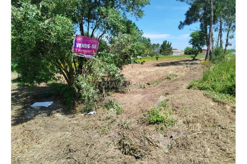 Helårsgrund i Vagos, Aveiro, Vagos - € 47.000 | Ref: AVR/00685 - foto 4