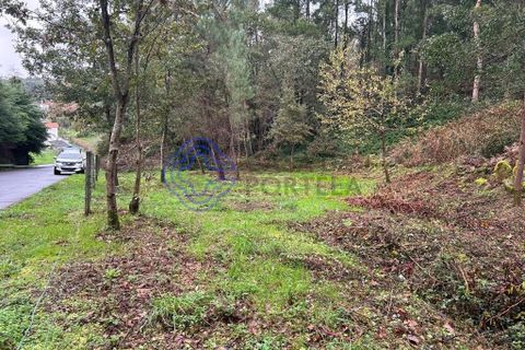 Tomt i Valenca, Viana do Castelo, Valenca - € 25 000 | Ref: 194331 - foto 3